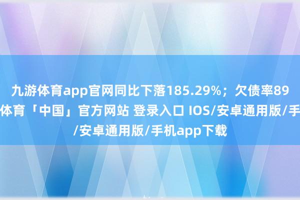 九游体育app官网同比下落185.29%；欠债率89.92%-九游体育「中国」官方网站 登录入口 IOS/安卓通用版/手机app下载